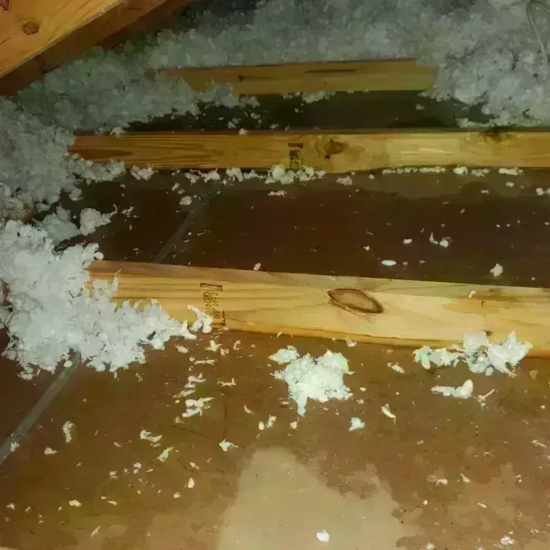 Attic Water Damage in Wilton, ME